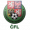 ČFL