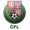 ČFL