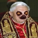 jebavy09