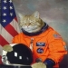 Domec