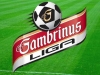 Gambrinus liga míří do finále, v neděli je na programu předposlední kolo