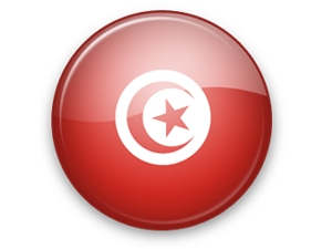 APN 08 - Tunisko