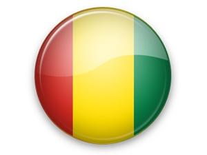 APN 08 - Guinea