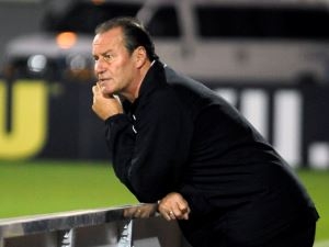 Kouč Stuttgartu Stevens by chtěl přivést čtyři posily