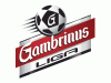  Gambrinus chce dál sponzorovat fotbal, ale přímo přes kluby