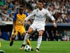 Liga mistrů pokračuje dalšími zápasy: Obhájce z Madridu jede na Kypr pro postup, Neapol je na okraji propasti