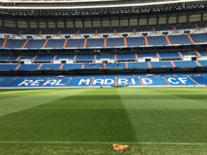 Systém jako z jiné galaxie. Podívejte se na video, jak funguje nové zatahovací hřiště na Santiagu Bernabeu