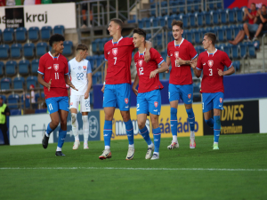 Nová generace Lvíčat na úvod porazila v bratrském souboji Slovensko 2:0