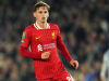 Po Šulcovi Lyon podepsal záložníka z Liverpoolu. Stál dvojnásobek toho, co hvězda Plzně