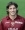 Franceschini