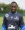 Richard Soumah