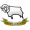 Derby County Derby County