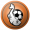 FC Lorient