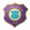 FC Erzgebirge Aue