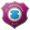 FC Erzgebirge Aue