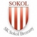Sokol Brozany