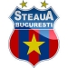 FCSB