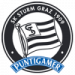 SK Sturm Graz